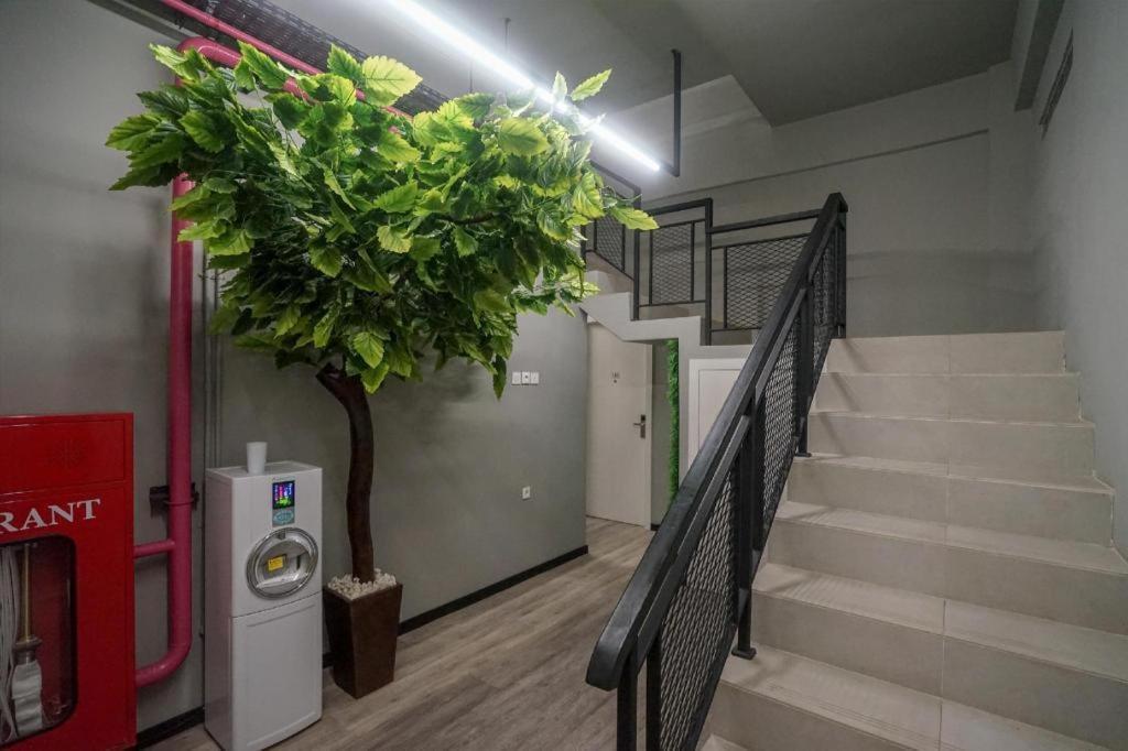 Oyo 568 Rajawali Homestay Palembang Exterior foto